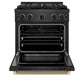 ZLINE Designer Collection 30 in. 4.2 cu. ft. Paramount Dual Fuel Range with 4 Burner DuoPro™ Cooktop and Electric Convection Oven in Black Satin Stainless Steel with Matte Black and Champagne Bronze Accents, Open Box-Good Condition