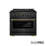 ZLINE Designer Collection 36 in. 5.2 cu. ft. Paramount Dual Fuel Range with 6 Burner DuoPro™ Cooktop and Electric Convection Oven in Black Satin Stainless Steel with Matte Black and Champagne Bronze Accents, Open Box-Good Condition