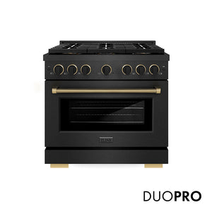 ZLINE Designer Collection 36 in. 5.2 cu. ft. Paramount Dual Fuel Range with 6 Burner DuoPro™ Cooktop and Electric Convection Oven in Black Satin Stainless Steel with Matte Black and Champagne Bronze Accents, Open Box-Great Condition main image.