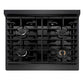ZLINE 30 in. 4.2 cu. ft. Paramount Gas Range with 4 Burner Cooktop and Convection Gas Oven in Black Satin Stainless Steel (SGRBS-30) top-down, above cooktop.