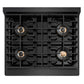 ZLINE 30 in. 4.2 cu. ft. Paramount Gas Range with 4 Burner DuoPro™ Cooktop and Convection Gas Oven in Black Satin Stainless Steel (PSGRBS-30) top-down, above cooktop.