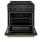 ZLINE Designer Collection 30 in. 4.2 cu. ft. Paramount Gas Range with 4 Burner DuoPro™ Cooktop and Convection Gas Oven in Black Satin Stainless Steel with Matte Black and Champagne Bronze Accents, Open Box-Good Condition