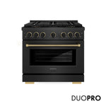 ZLINE Designer Collection 36 in. 5.2 cu. ft. Paramount Gas Range with 6 Burner DuoPro™ Cooktop and Convection Gas Oven in Black Satin Stainless Steel with Matte Black and Champagne Bronze Accents, Open Box-Good Condition
