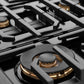 ZLINE 48 in. Paramount Gas Rangetop with 8 Brass Burners and Porcelain Cooktop in Black Satin Stainless Steel (SRTBS-BR-48) large burner.