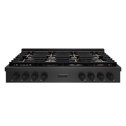 ZLINE 48 in. Paramount Gas Rangetop with 8 Brass Burners and Porcelain Cooktop in Black Satin Stainless Steel (SRTBS-BR-48) front.