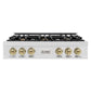ZLINE Autograph Edition 36 in. Classic Gas Rangetop with 6 Burners and Porcelain Cooktop in Satin Stainless Steel with Champagne Bronze Accents (RTSZ-36-CB)