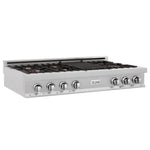 ZLINE 48 in. Legacy Gas Rangetop with 7 Brass Burners and Porcelain Cooktop in Satin Stainless Steel (RTS-BR-48) main image.