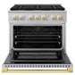 ZLINE Autograph Edition 36 in. 5.2 cu. ft. Marino Dual Fuel Range with 6 Burner Gas Cooktop and Electric Convection Oven in Stainless Steel with Polished Gold Accents (MDRZ-36-G)