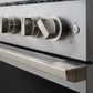 ZLINE 36 in. 5.2 cu. ft. Marino Dual Fuel Range with 6 Burner DuoPro™ Cooktop and Electric Convection Oven in Stainless Steel (PMDR36)