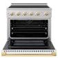 ZLINE Autograph Edition 36 in. 5.2 cu. ft. Marino Induction Range with 5 Element Cooktop and Electric Convection Oven in Satin Stainless Steel with White Matte Door and Polished Gold Accents (MINRSZ-WM-36-G) front, oven open.