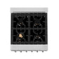 ZLINE 24 in. 2.8 cu. ft. Legacy Dual Fuel Range with Gas Cooktop and Electric Convection Oven in Satin Stainless Steel with 4 Brass Burners (RAS-SN-BR-24) top-down, above cooktop.