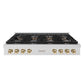 ZLINE Autograph Edition 48 in. Paramount Gas Rangetop with 8 Burner DuoPro™ Cooktop in Satin Stainless Steel and Polished Gold Accents (PSRTSZ-48-G) front.
