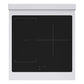 ZLINE 24 in. 3.2 cu. ft. Paramount Induction Range with 3 Element Cooktop and Electric Convection Oven in Stainless Steel (SINR24) top-down, above cooktop.