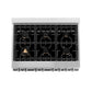 ZLINE 36 in. 4.6 cu. ft. Legacy Dual Fuel Range with Gas Cooktop and Electric Convection Oven in Stainless Steel with 6 Brass Burners and Griddle (RA-BR-GR-36) top-down, above cooktop.