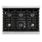 ZLINE 36 in. Paramount Gas Rangetop with 6 Burner DuoPro™ Cooktop in Stainless Steel