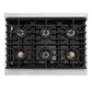 ZLINE 36 in. Paramount Gas Rangetop with 6 Burner DuoPro™ Cooktop in Stainless Steel (PSRT36) top-down, above cooktop.