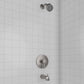 ZLINE Palisades Elegant Shower System in Brushed Nickel (RBCN1-SHS-BN)