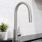 ZLINE Palisades Pull Down Single Handle Kitchen Faucet in Brushed Nickel (RBCN1-KF-BN)