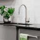 ZLINE Palisades Pull Down Single Handle Kitchen Faucet in Brushed Nickel (RBCN1-KF-BN)
