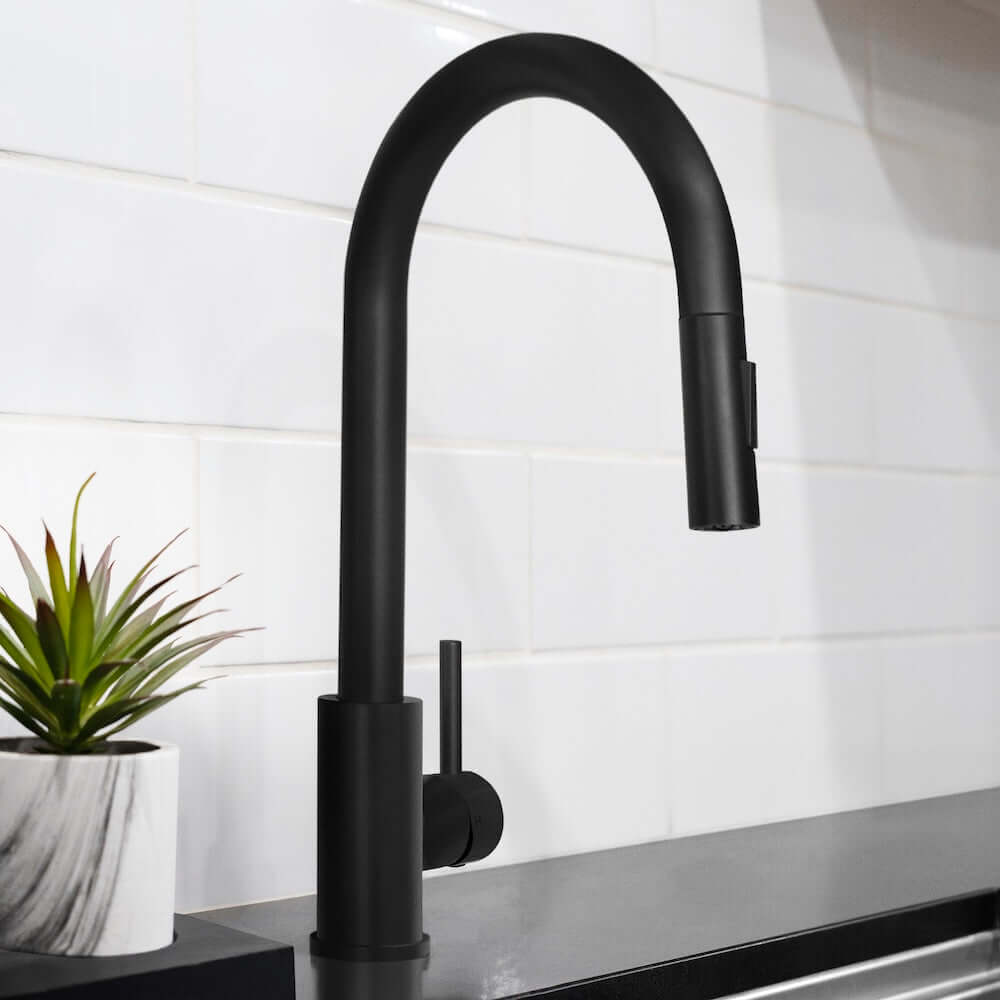 ZLINE Palisades Pull Down Single Handle Kitchen Faucet in Matte Black (RBCN1-KF-MB)