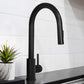 ZLINE Palisades Pull Down Single Handle Kitchen Faucet in Matte Black (RBCN1-KF-MB)