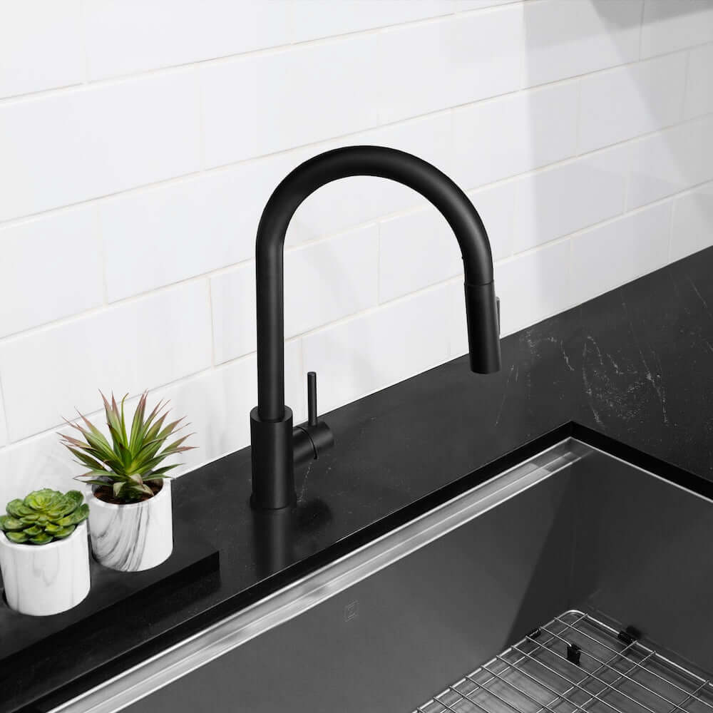 ZLINE Palisades Pull Down Single Handle Kitchen Faucet in Matte Black (RBCN1-KF-MB)