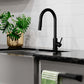 ZLINE Palisades Pull Down Single Handle Kitchen Faucet in Matte Black (RBCN1-KF-MB)