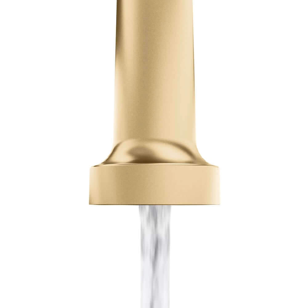 ZLINE Palisades Pull Down Spring Spray Wand Kitchen Faucet in Champagne Bronze (RBCN2-KF-CB)