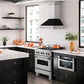 ZLINE 30 in. Satin Stainless Steel Wall Mount Range Hood with Colored Shell and Stainless Steel Handle (8654SNX-30)