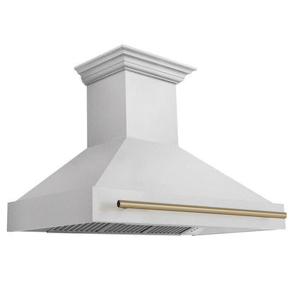 ZLINE Autograph Edition 48 in. Satin Stainless Steel Wall Mount Range Hood with Accent Handle (8654SNZ-48)