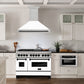 ZLINE Autograph Edition 48 in. Satin Stainless Steel Wall Mount Range Hood with White Matte Shell and Accent Handle (8654SNZ-WM48)