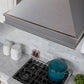 ZLINE Designer Series Wall Mount Range Hood in Satin Stainless Steel with Size Options (8656S)