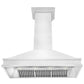 ZLINE Designer Series Wall Mount Range Hood in Satin Stainless Steel with Size Options (8656S) front, under.