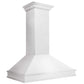 ZLINE Designer Series Wall Mount Range Hood in Satin Stainless Steel with Size Options (8656S)