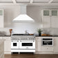 ZLINE 48 in. Satin Stainless Steel Wall Mount Range Hood with Colored Shell and Stainless Steel Handle (8654SNX-48)