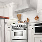 ZLINE 36 in. Professional Convertible Vent Wall Mount Range Hood in Stainless Steel, Open Box-Good Condition
