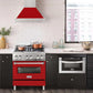 ZLINE 30 in. Stainless Steel Range Hood with Colored Shell Options and Stainless Steel Handle (8654STX-30) 
