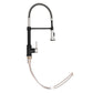 ZLINE Autograph Edition Apollo Pull-Down Spring Single-Handle Kitchen Faucet in Matte Black and Brushed Nickel (APL-KF-ZMBBN)