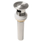 ZLINE Autograph Edition Bliss Widespread Bath Faucet in Brushed Nickel and Champagne Bronze (BLS-BF-ZBNCB)