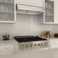 ZLINE Ducted Under Cabinet Range Hood in Stainless Steel (625) 