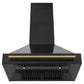 ZLINE Autograph Edition Black Stainless Steel Range Hood with Accent Handle (BS655Z)
