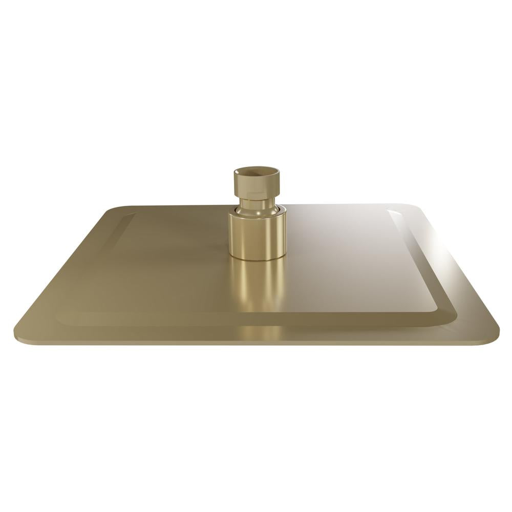 ZLINE Bliss 8 In. Shower Head in Champagne Bronze (BLS-H8-CB) 