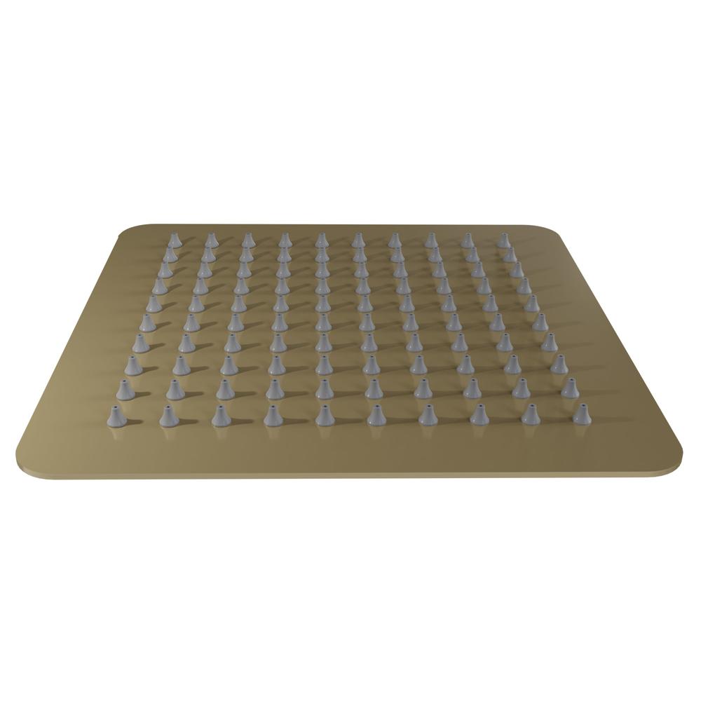 ZLINE Bliss 8 In. Shower Head in Champagne Bronze (BLS-H8-CB) 
