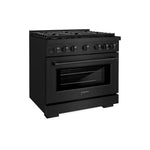 ZLINE 36 in. 5.2 cu. ft. Paramount Gas Range with Convection Gas Oven in Black Stainless Steel with 6 Brass Burners (SGRB-BR-36)