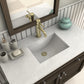 ZLINE Carnelian Bath Faucet (CRN-BF) Chrome lifestyle, in a luxury home.