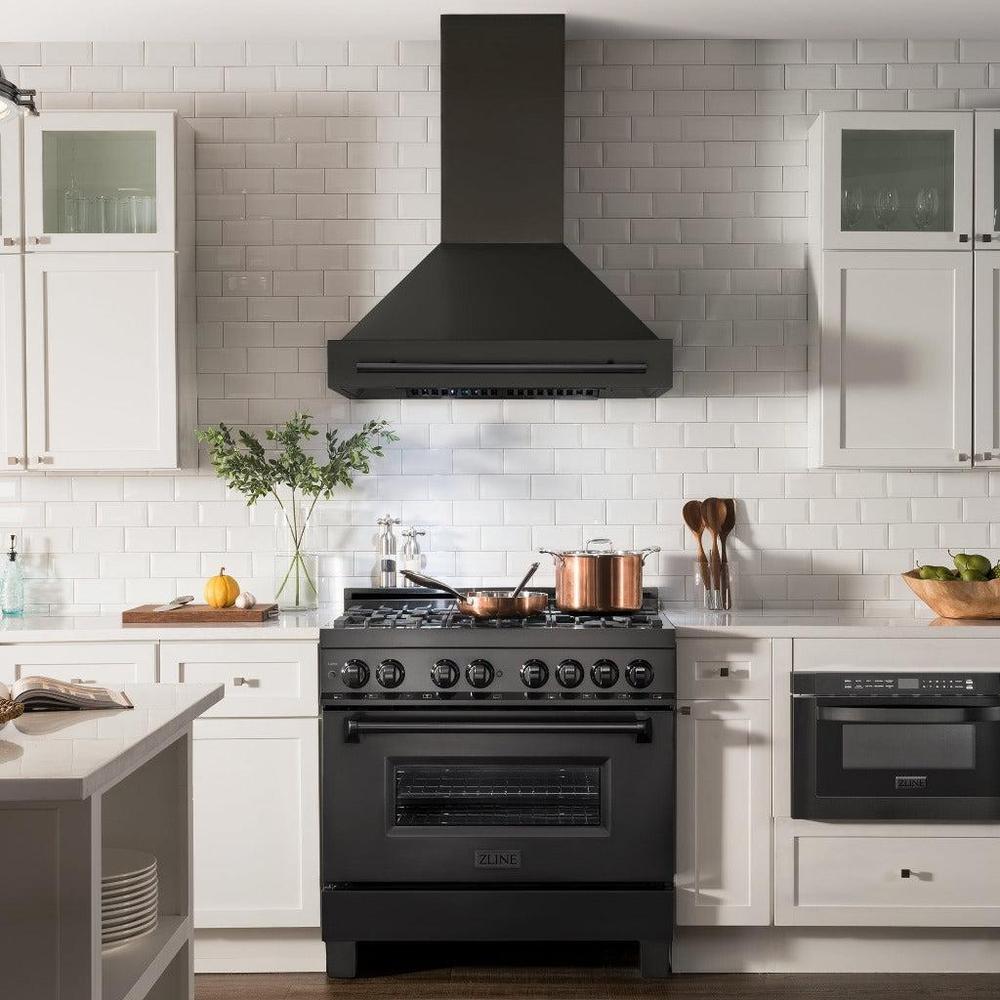 ZLINE Black Stainless Steel Range Hood with Black Stainless Steel Handle and Size Options (BS655-BS) 