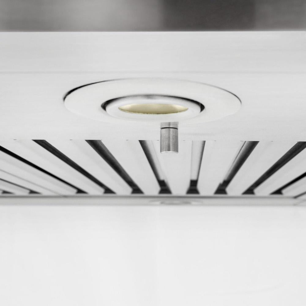 ZLINE Island Mount Range Hood In Stainless Steel (GL1i) 