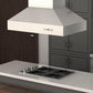 ZLINE Outdoor Approved Island Mount Range Hood in Stainless Steel (697i-304) 