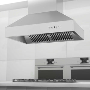 ZLINE Outdoor Approved Island Mount Range Hood in Stainless Steel (697i-304) 