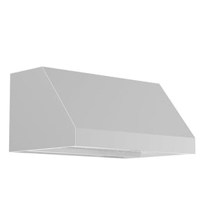 ZLINE Convertible Vent Under Cabinet Range Hood in Stainless Steel (523) main image.